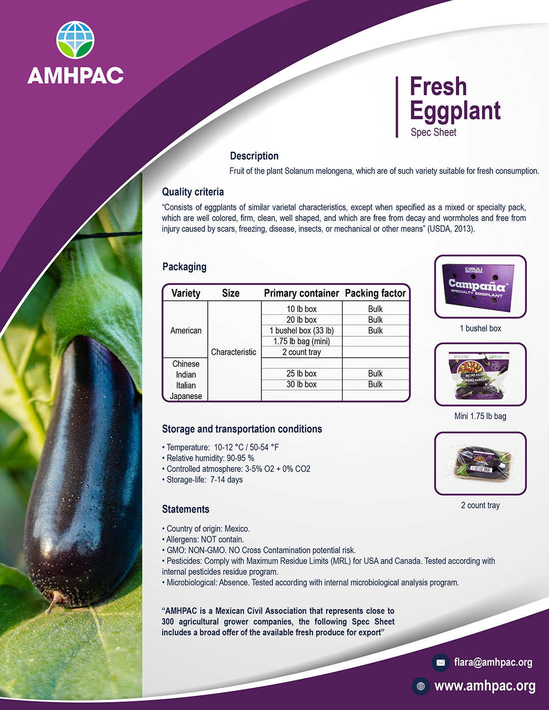 Fichas tecnicas amhpac eggplant