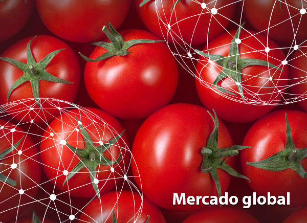 Mercadoglobal