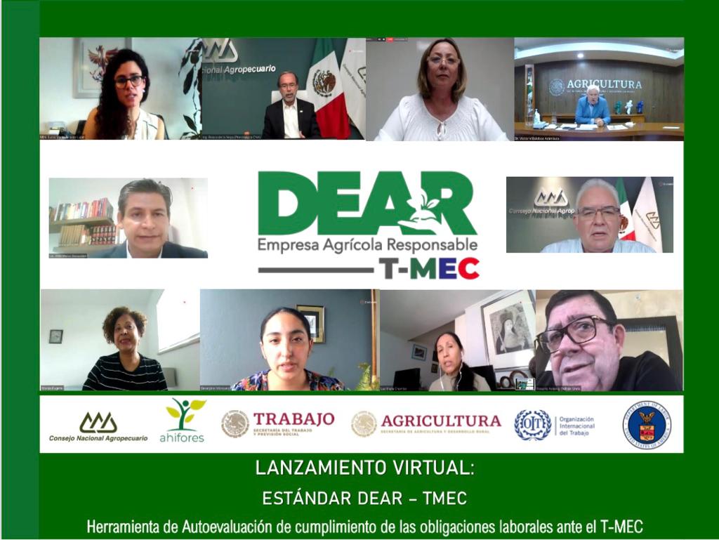 WhatsApp Image 2020 07 30 at 09.00.29