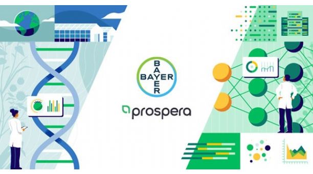 bayer con prospera 
