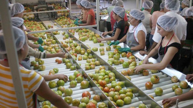 caos8102.jpg 983236913