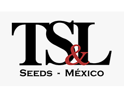 TSL