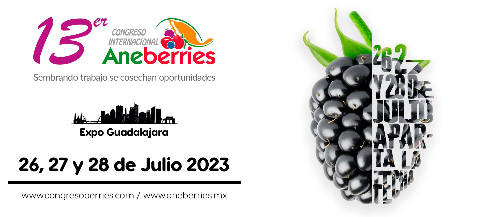 aneberries banner 1 aneberries2023
