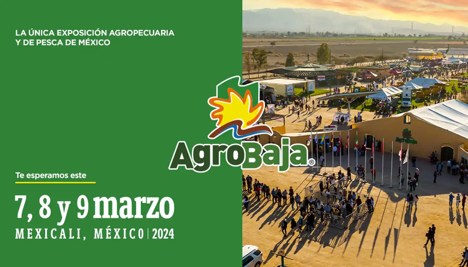 agrobaja