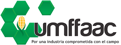 LOGO UMFFAAC 400
