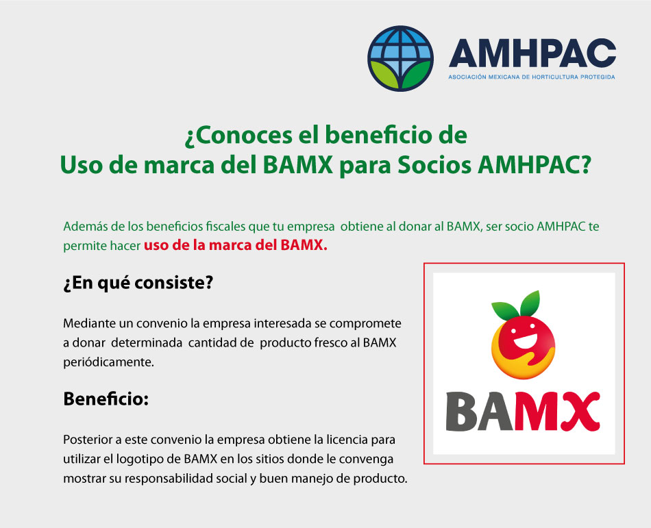 BAMX para socios