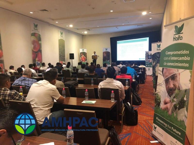 542b6978-bebc-48a2-9bea-004f8131077f