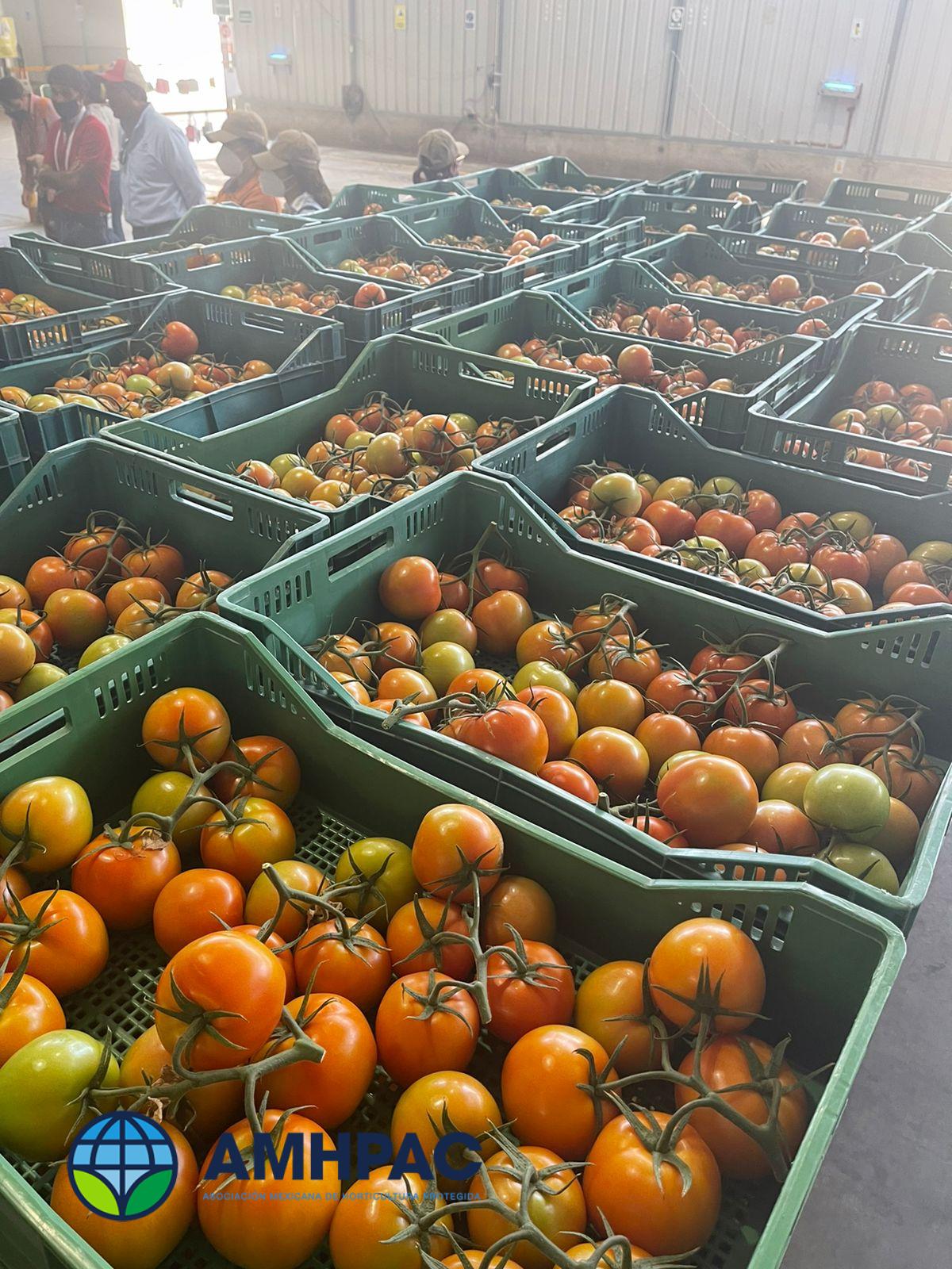 Simposio 18 de marzo (8)