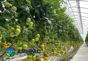 Simposio 18 de marzo (12)