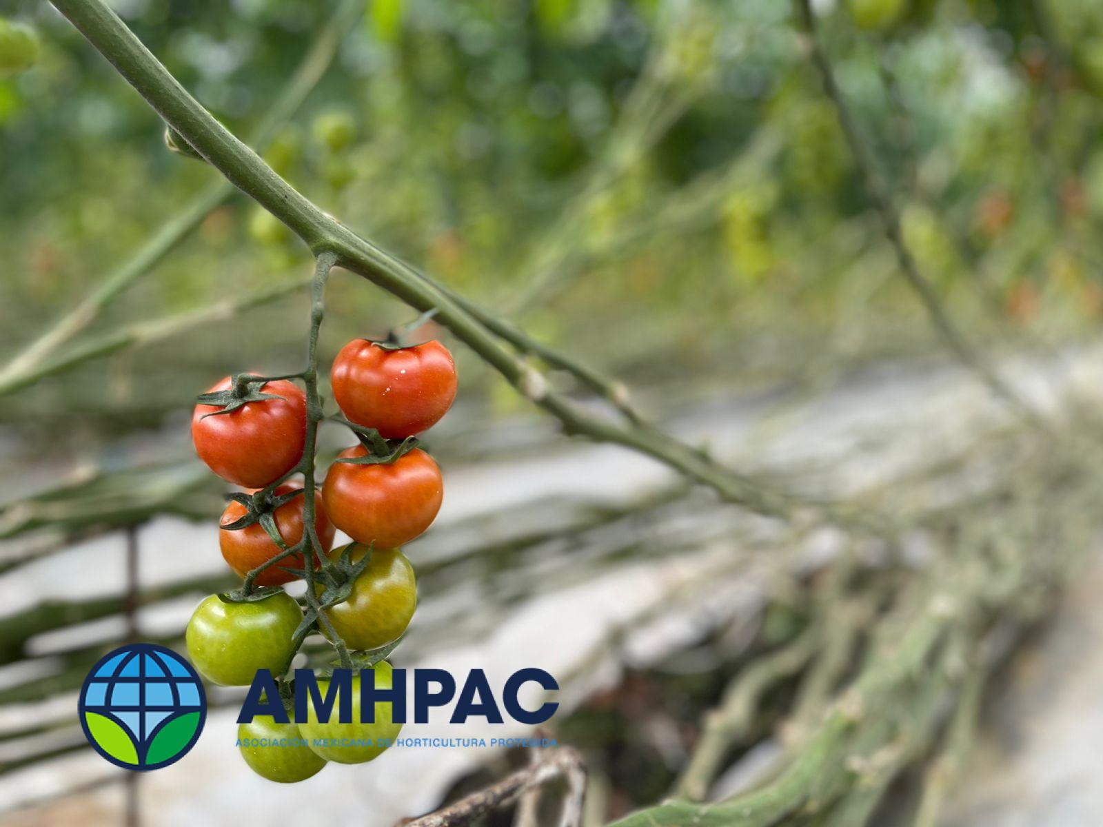 Simposio 18 de marzo (13)