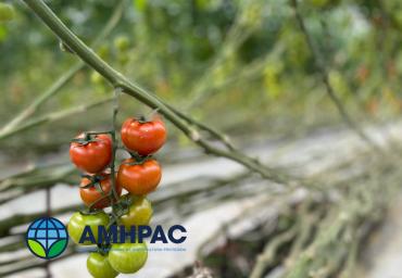 Simposio 18 de marzo (13)