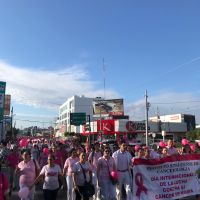 WhatsApp Image 2018-10-19 at 9.28.40 AM