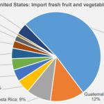 Estados Unidos importó más hortalizas en el primer semestre de 2022