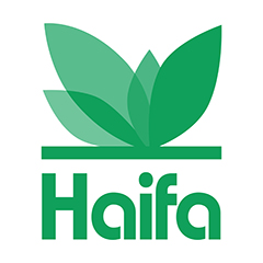 Haifa