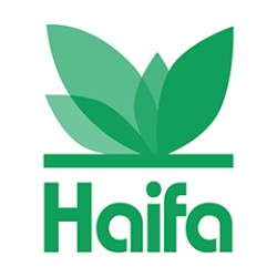 Haifa